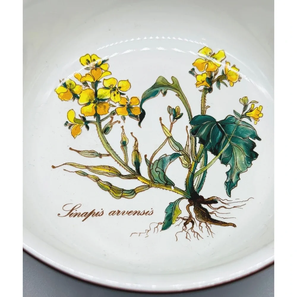 Villeroy Boch Botanica Fruit Bowl Sinapis Arvensis Wild Mustard Floral 5.25 inch